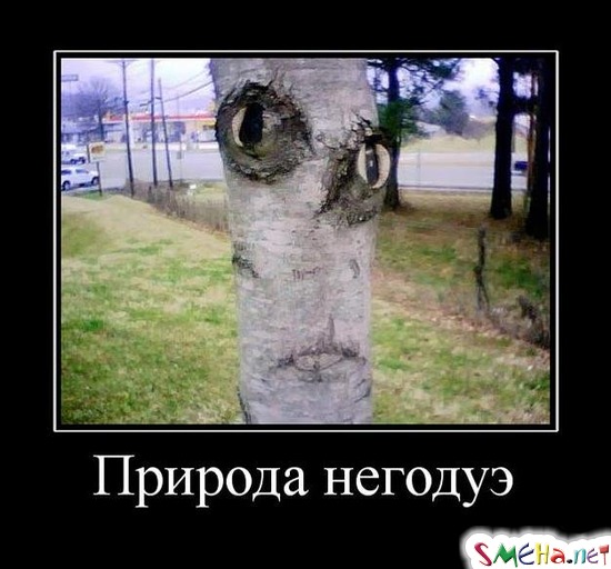 Природа негодуэ