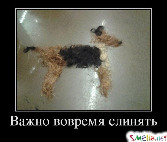 Важно вовремя слинять