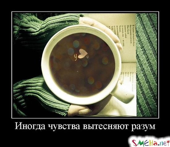 Иногда чувства вытесняют разум
