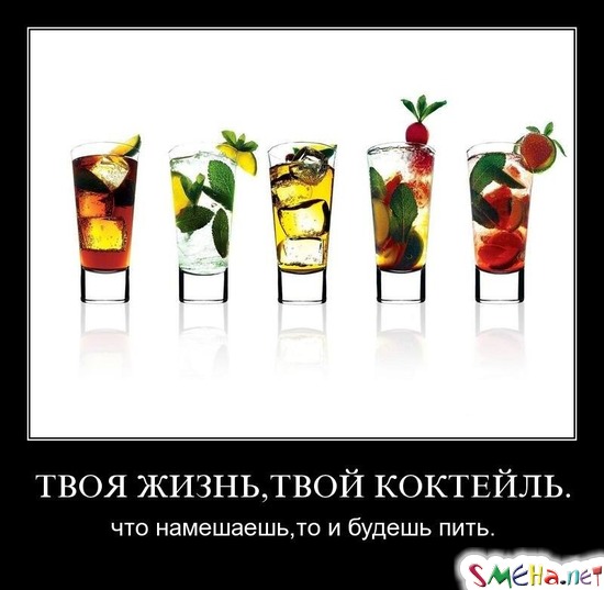 ТВОЯ ЖИЗНЬ,ТВОЙ КОКТЕЙЛЬ. - что намешаешь,то и будешь пить.