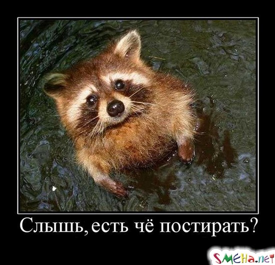 Слышь, есть чё постирать?