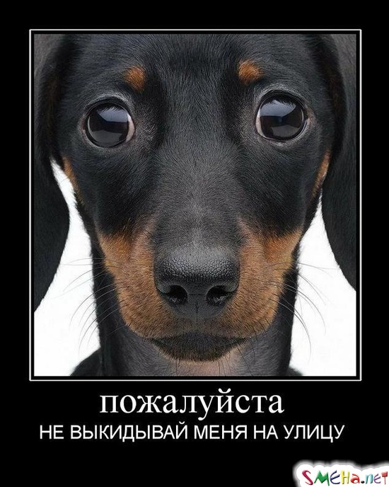 пожалуйста - НЕ ВЫКИДЫВАЙ МЕНЯ НА УЛИЦУ