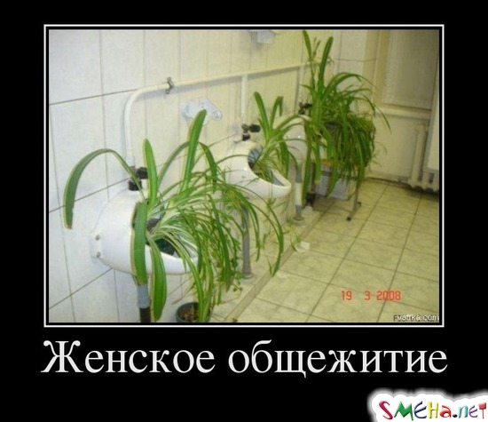 Женское общежитие
