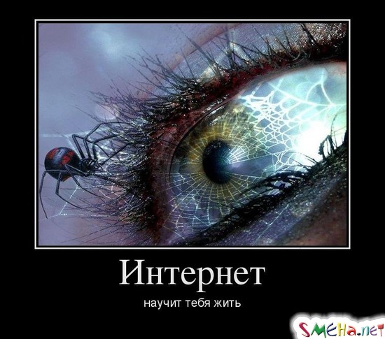 Интернет научит тебя жить