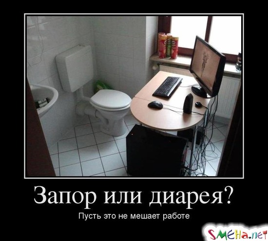 Запор или диарея? - Пусть это не мешает работе