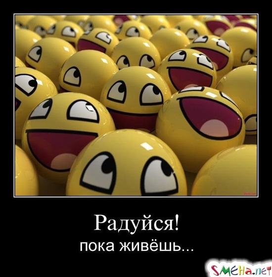 Радуйся! - пока живёшь...