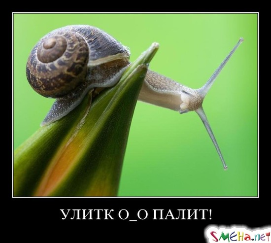 УЛИТК О_О ПАЛИТ!