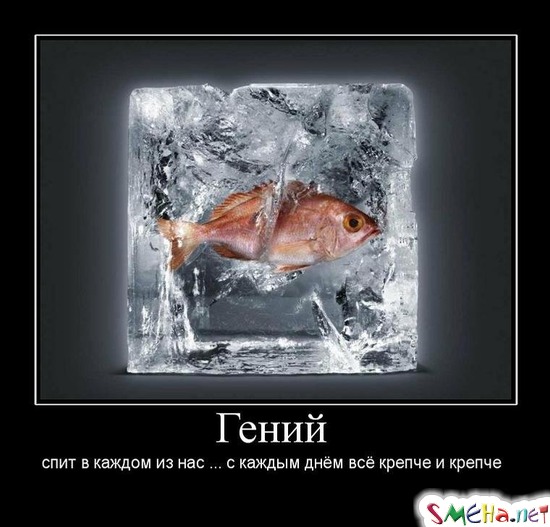 Гений - спит в каждом из нас ... с каждым днём всё крепче и крепче