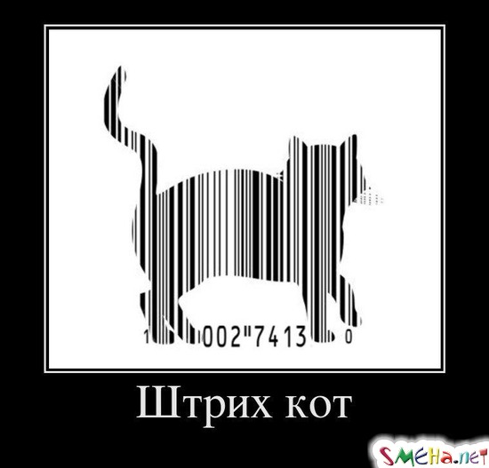 Штрих кот