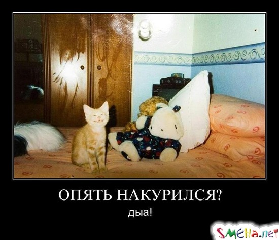 ОПЯТЬ НАКУРИЛСЯ? - дыа!