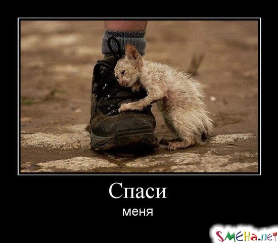 Спаси - меня