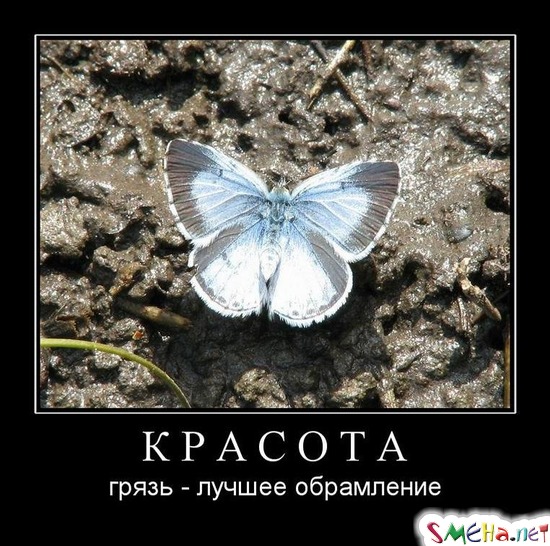 КРАСОТА - грязь - лучшее обрамление