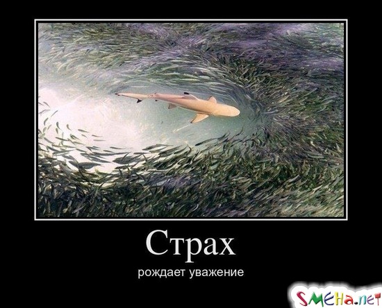 Страх рождает уважение