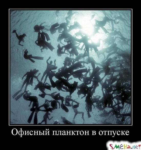 Офисный планктон в отпуске