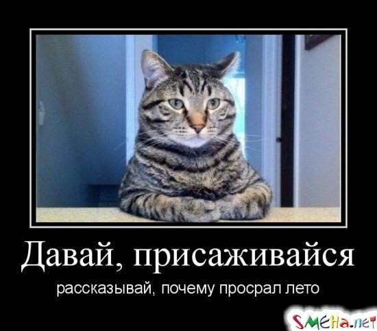 ДАВАЙ, ПРИСАЖИВАЙСЯ - рассказывай, почему просрал лето