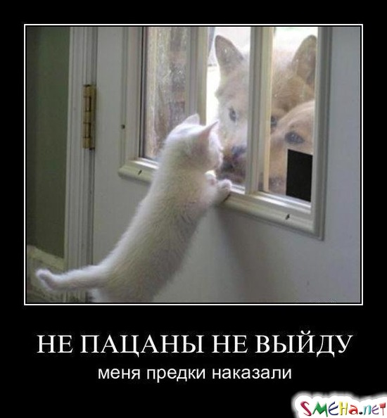 НЕ ПАЦАНЫ НЕ ВЫЙДУ - меня предки наказали