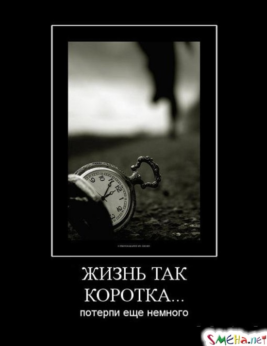 ЖИЗНЬ ТАК КОРОТКА... - потерпи еще немного