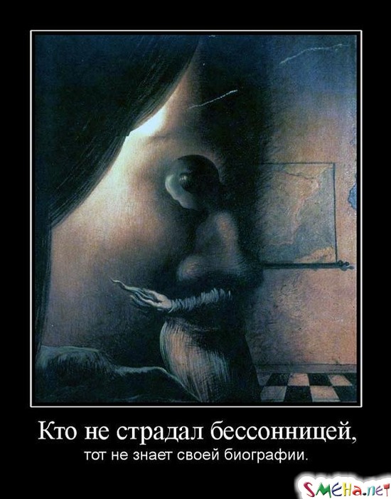 Кто не страдал бессонницей, - тот не знает своей биографии.