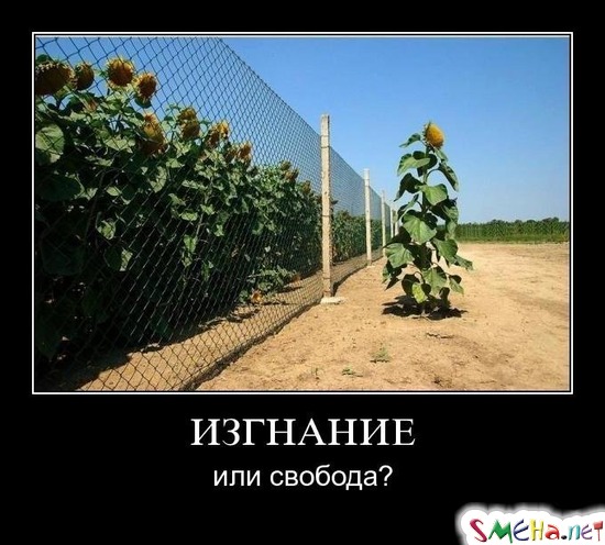 ИЗГНАНИЕ - или свобода?