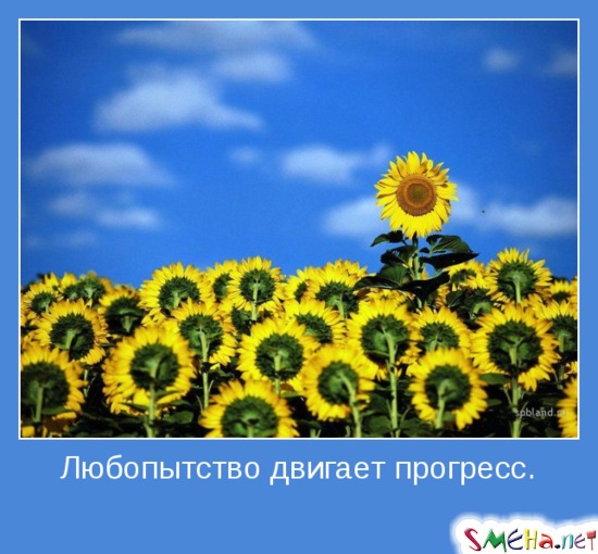 Любопытство двигает прогресс.
