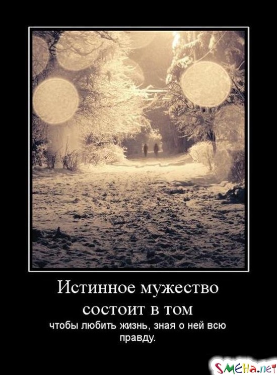 Истинное мужество состоит в том - чтобы любить жизнь, зная о ней всю правду