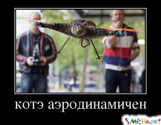 котэ аэродинамичен