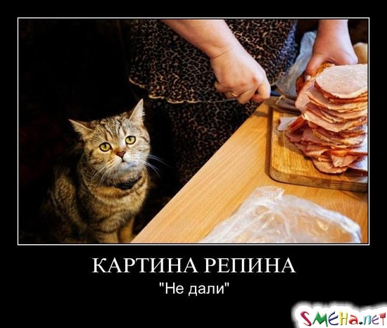 КАРТИНА РЕПИНА - "Не дали"