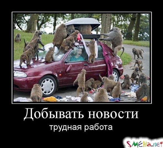 Добывать новости - трудная работа