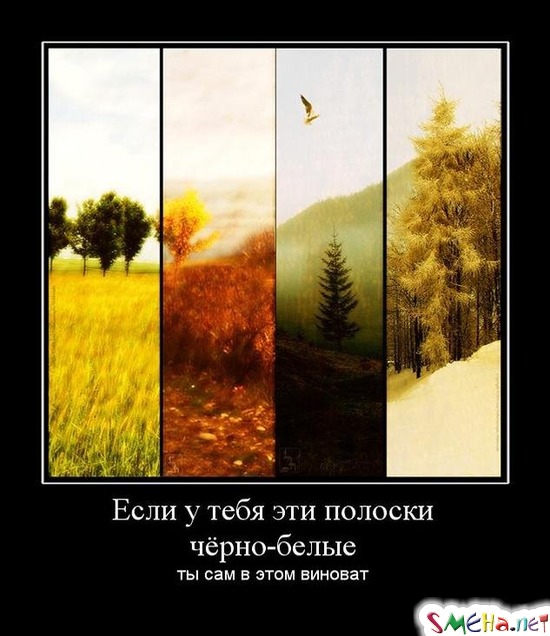 Если у тебя эти полоски чёрно-белые - ты сам в этом виноват