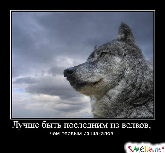 Лучше быть последним из волков, - чем первым из шакалов