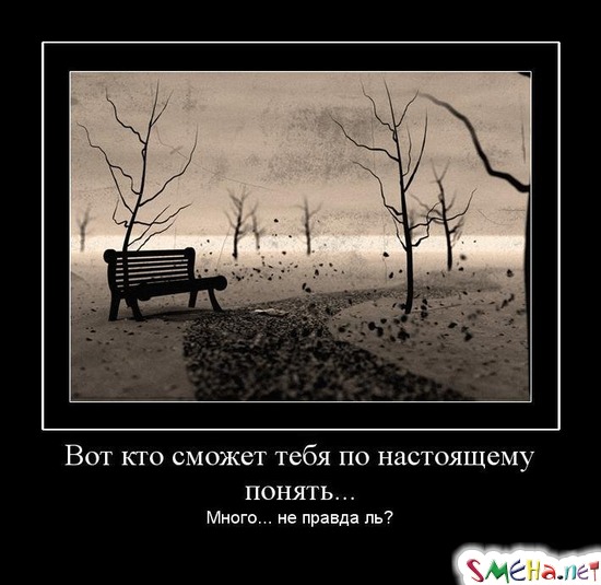 Вот кто сможет тебя по настоящему понять... - Много... не правда ль?