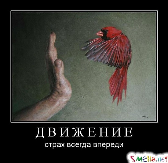 ДВИЖЕНИЕ - страх всегда впереди