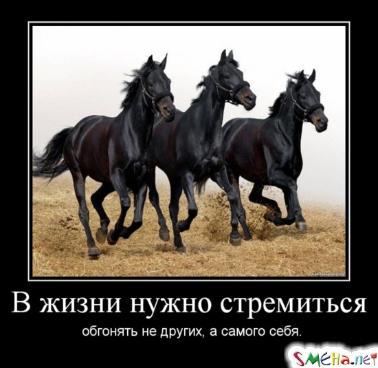 В жизни нужно стремиться. обгонять не других, а самого себя.