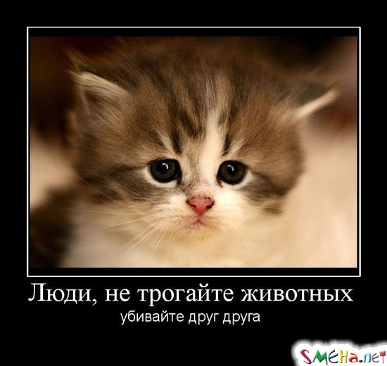 Люди, не трогайте животных - убивайте друг друга
