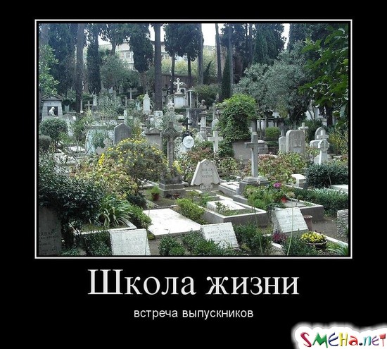 Школа жизни встреча выпускников