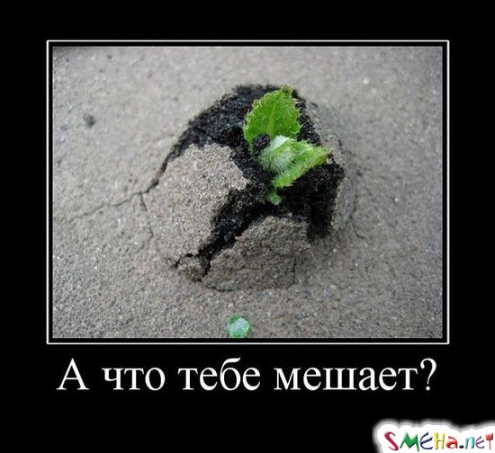 А что тебе мешает?