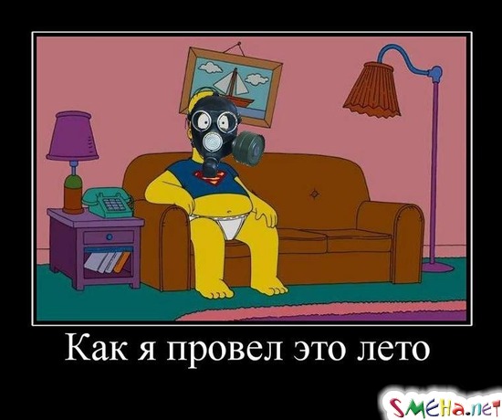Как я провел это лето