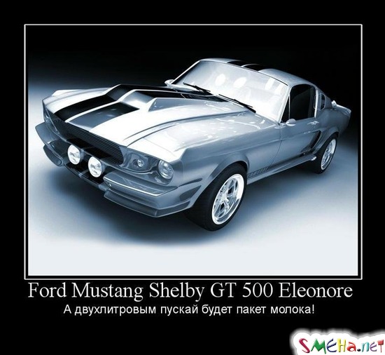 Ford Mustang Shelby GT 500 Eleonore - А двухлитровым пускай будет пакет молока!