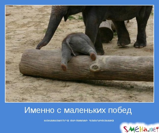 Именно с маленьких побед начинаются великие завоевания