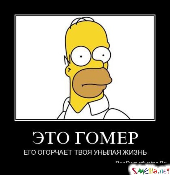 ЭТО ГОМЕР - ЕГО ОГОРЧАЕТ ТВОЯ УНЫЛАЯ ЖИЗНЬ