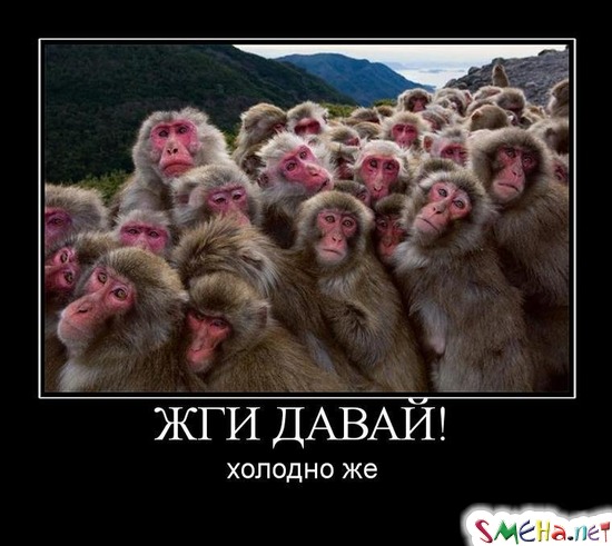 ЖГИ ДАВАЙ! - холодно же