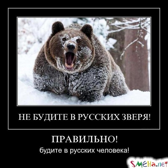 ПРАВИЛЬНО! - будите в русских человека!