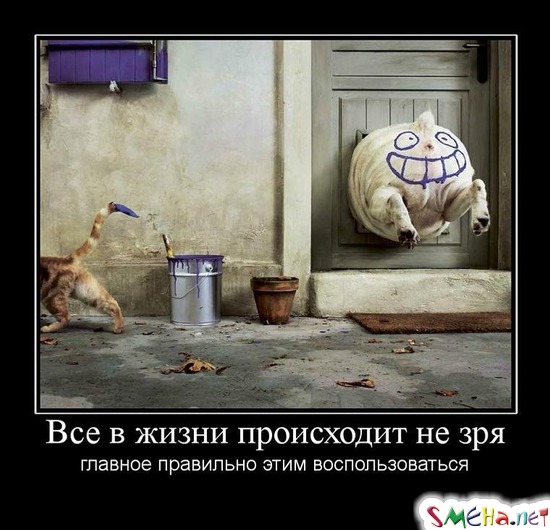 Все в жизни происходит не зря  - главное правильно этим воспользоваться
