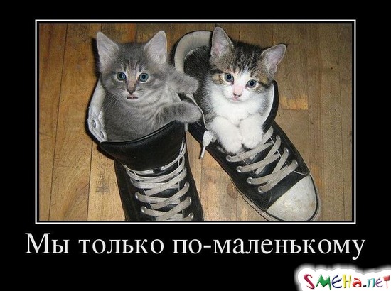 Мы только по-маленькому