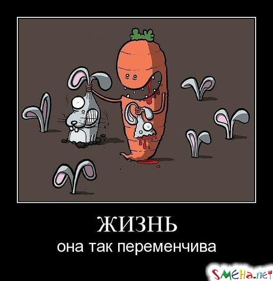 ЖИЗНЬ - она так переменчива