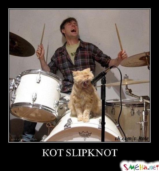 КОТ SLIPKNOT