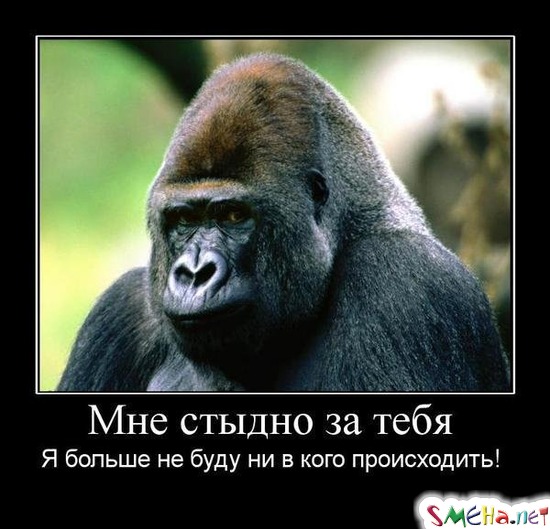 Мне стыдно за тебя - Я больше не буду ни в кого происходить!