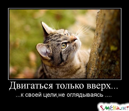Двигаться только вверх... - ...к своей цели,не оглядываясь...