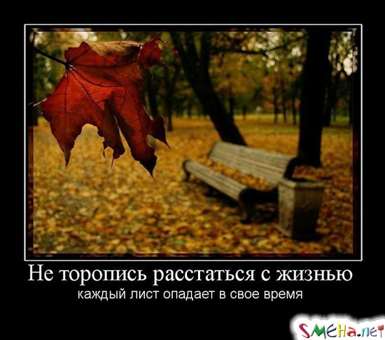 Не торопись расстаться с жизнью - каждый лист опадает в свое время