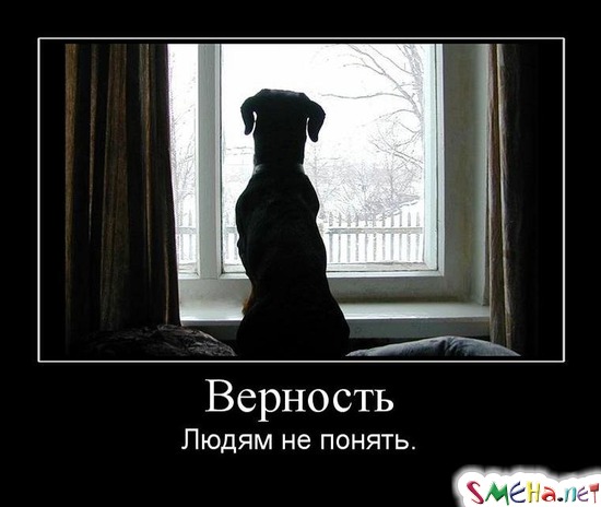 Верность - Людям не понять